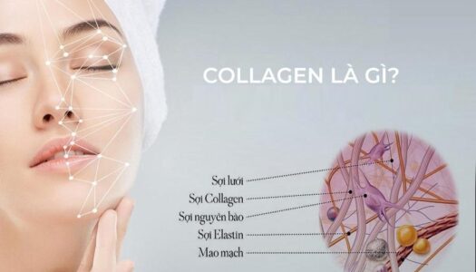 Collagen Là Gì? Tại Sao Nên Dùng Pada Beauty Collagen?