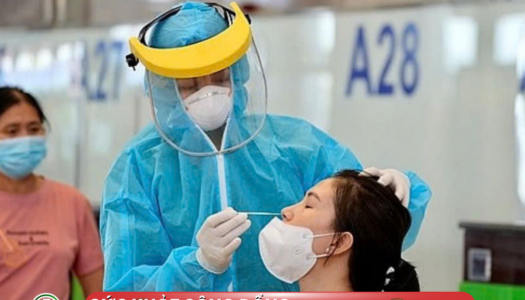 Những Điều Cần Biết Về Virus Gây Viêm Phổi Ở Người HMPV Đang Lây Lan Nhanh Tại Trung Quốc